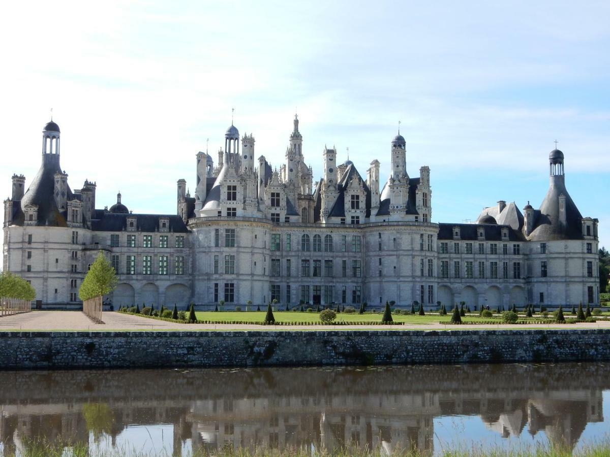 Entre Loire Et Cher Grand Gite "Cote Tilleul" Tour-en-Sologne Екстериор снимка
